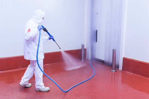 Best Pre-Holiday Cleaning  in Villas, NJ